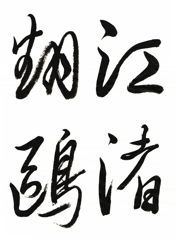 10江渚翻鸥